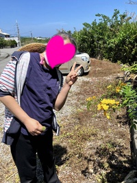 お散歩