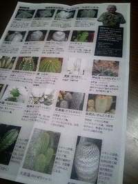 サボテンと多肉植物展 2014/05/06 20:43:08