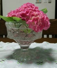紫陽花を楽しむ 2015/06/08 19:59:24
