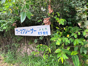 「うーまくー」だーしゃに、あってきた。