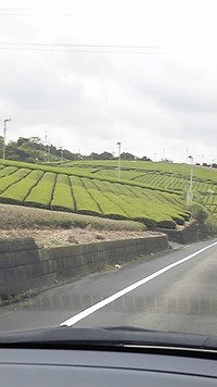 東洋の説明会 2010/07/16 22:18:10