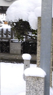 白と黒の気 2011/01/22 15:01:20