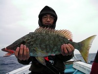 今日の結果 2010/04/27 23:16:27