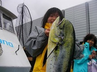 昨日のパヤオの結果！ 2010/04/07 16:04:46
