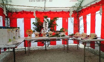 地鎮祭（突然のスコール）