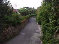 、、、いい出来事、、、、、 2009/11/28 00:52:43