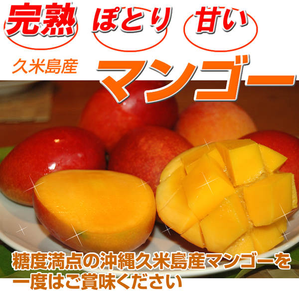 ぽとりの甘さを体感して下さい「久米島産完熟マンゴー」
