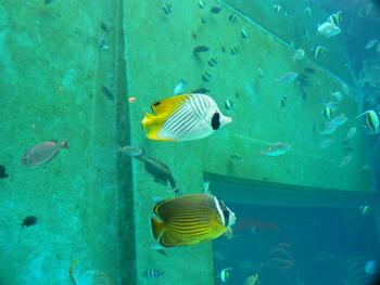 さ、沖縄きましたよ　4日目
