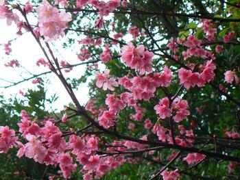 さ、沖縄きましたよ　4日目