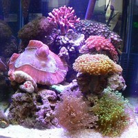 海がやってきた！！ 26日目