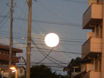 おめでとうございます