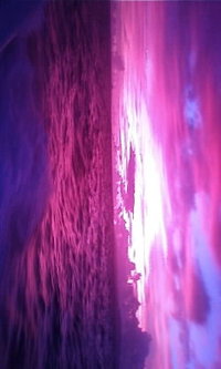 8月1日の記事 2010/08/01 10:27:30