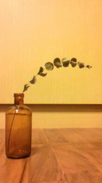 う〜ん (*_*) 2009/11/18 00:12:54