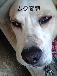 天気 2010/01/23 12:44:06