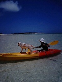 カヤック 2010/06/29 14:31:31