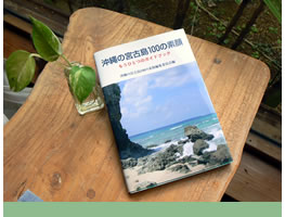 島の本棚～宮古島を読む～