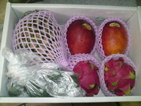 川口様 2010/08/12 12:25:34