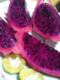 ドラゴンフルーツ 2010/10/20 08:28:40