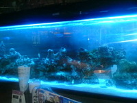 絶食 2010/11/27 13:24:57