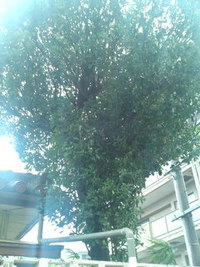 2011年08月07日