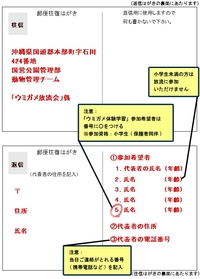 海洋博　亀の放流会のお知らせ 2012/06/07 22:47:02