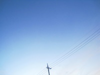 2011年11月21日