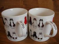 cat　chips