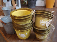 Edge　Pot
