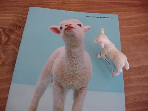 Sheep