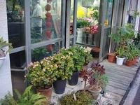 昭花園　泊店