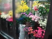 昭花園　泊店