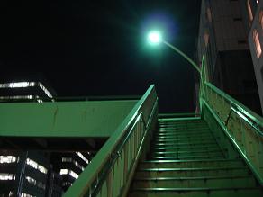 東京仕入れ旅
