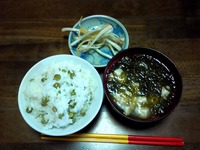 伊江島から頂いたもの 2009/04/15 11:41:29