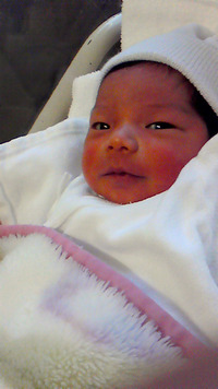 我が家に・・・ 2010/02/05 12:45:16