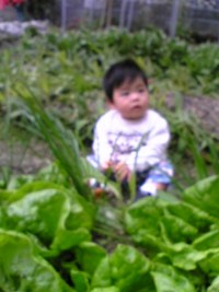野菜畑にて 2009/02/22 09:00:00