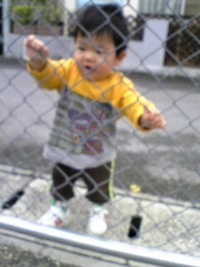 今日はヨガ日和 2009/03/19 15:34:52