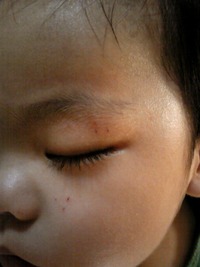 いい天気です・・・。 2009/06/30 11:12:57