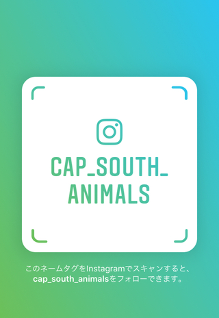 Instagram始めました。