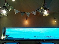 食堂ＡＰＯＬＬＯ・ＡＰＯＬＬＯより・・・ 2013/05/31 10:06:21