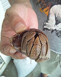 食堂APOLLO・しばらくの間・・・ 2013/08/22 09:59:51
