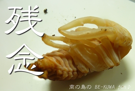 ★オキノコ・・・オレの大馬鹿野郎～