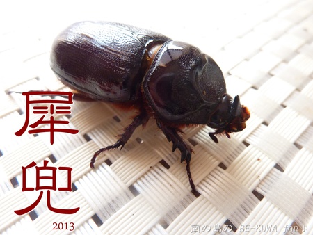 ★2013大晦日 & 犀兜 & オキノコ結果 & キヨタミ & 沖平