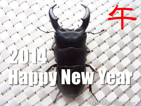 ▼あけおめ & 2014目標 & オキヒラ & オキノコ & リュウコ