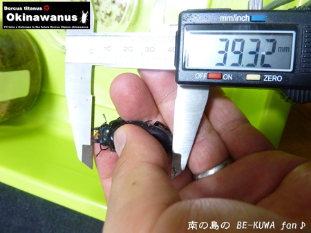 ▼あけおめ & 2014目標 & オキヒラ & オキノコ & リュウコ