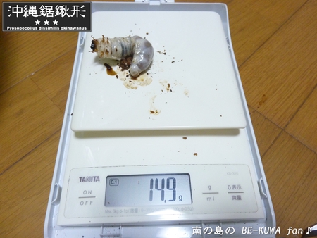 ▼あけおめ & 2014目標 & オキヒラ & オキノコ & リュウコ