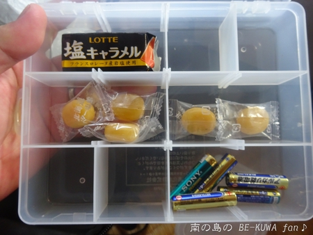 ▼鋸鍬形 & 石垣採集 & セット色々 & DHH♀蛹化