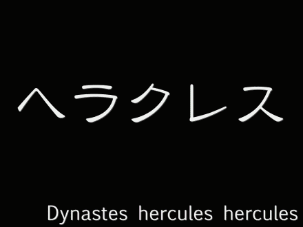 ●DHH & be-kuwa55 & アマノコ & 水曜歌謡祭 & オキノコ