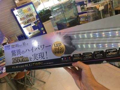 アクアプロスタイル ビリーバー 新商品入荷