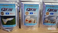 入荷