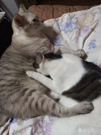 Help！！ 2016/07/31 19:11:20